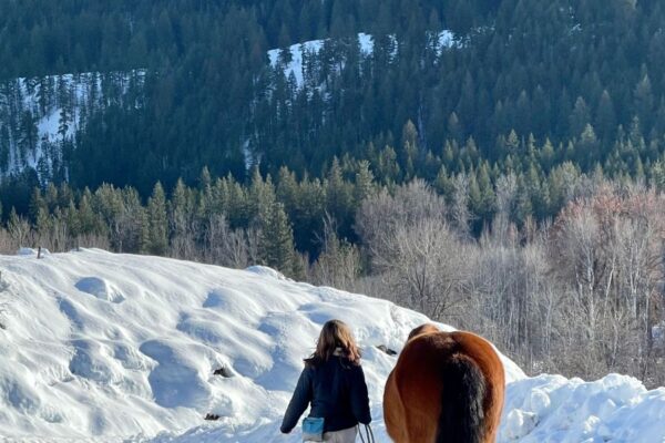 hana walkign sparks winter